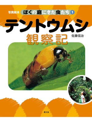 cover image of 写真絵本　ぼくの庭にきた虫たち1　テントウムシ観察記